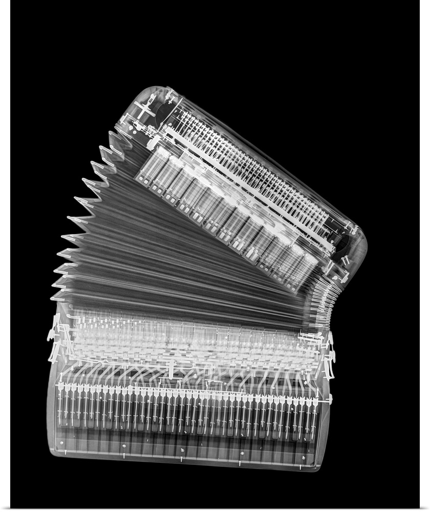 X-ray of an Accordion on black background