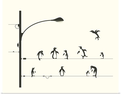 Penguins On A Wire