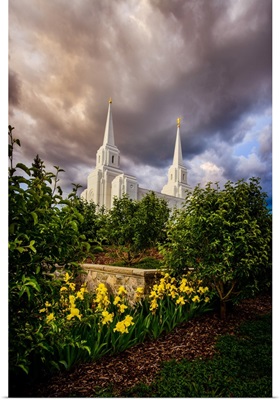 Brigham City Utah Temple, Yellow Flowers, Brigham City, Utah
