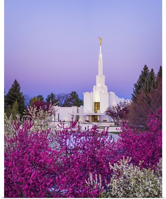 Denver Colorado Temple, Colorful Morning, Centennial, Colorado