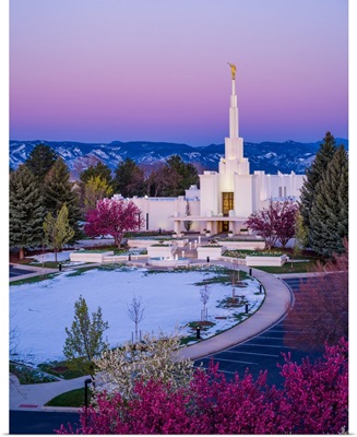 Denver Colorado Temple, Purple Morning, Centennial, Colorado