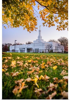 Nashville Tennessee Temple, Fallen Leaves, Franklin, Tennessee
