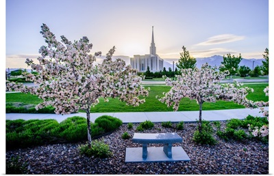 Oquirrh Mountain Utah Temple, Cherry Blossoms, South Jordan, Utah