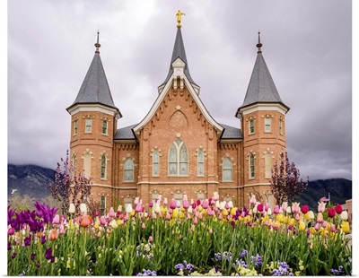Provo City Center Temple, Springtime Tulips, Provo, Utah