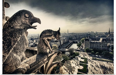 Atop the Notre Dame Cathedral, Paris