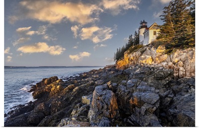 Bass Harbor Lighthouse In Acadia National Park