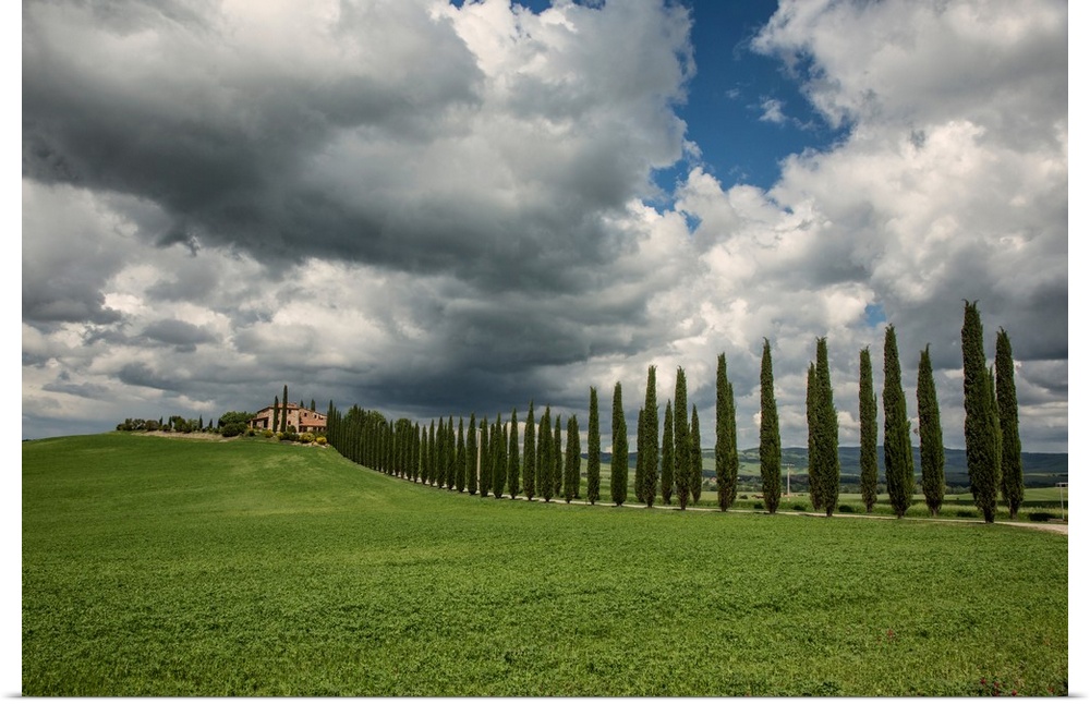 Beautiful home and Italian Cypress in Tuscany.