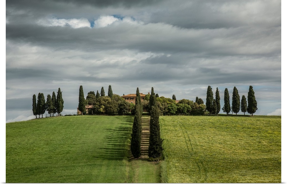 Beautiful home and Italian Cypress trees in Tuscany.