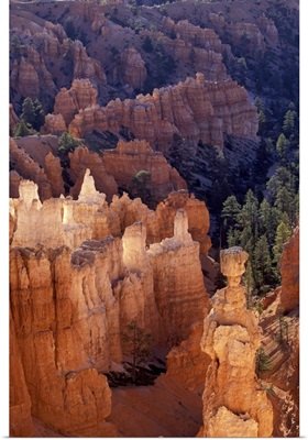 Bryce Canyon at Sunrise, Utah