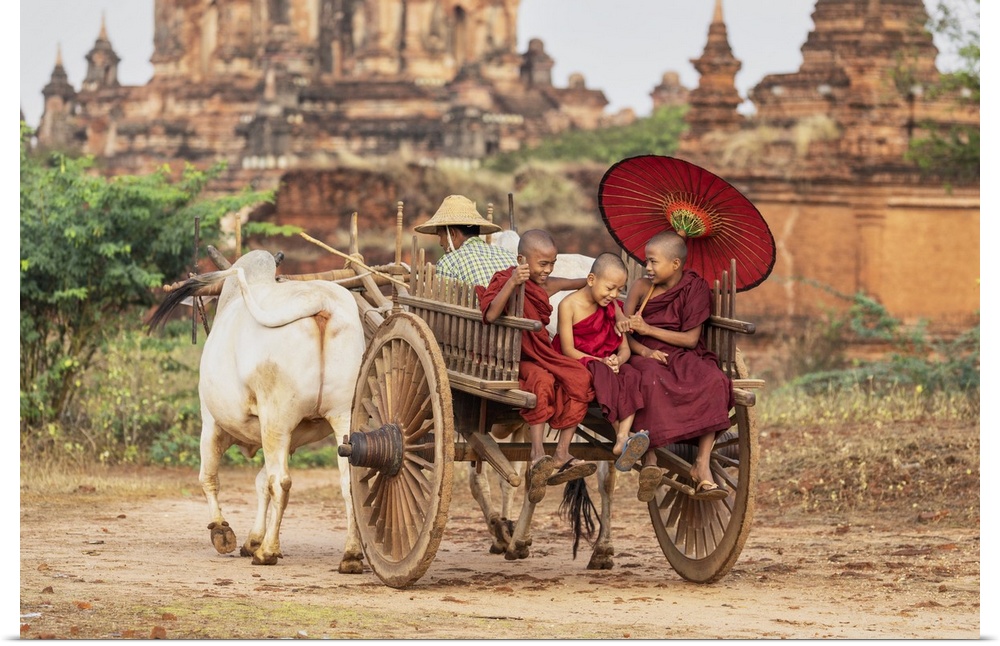 Burmese monks on an oxcart in Bagan, Myanmar