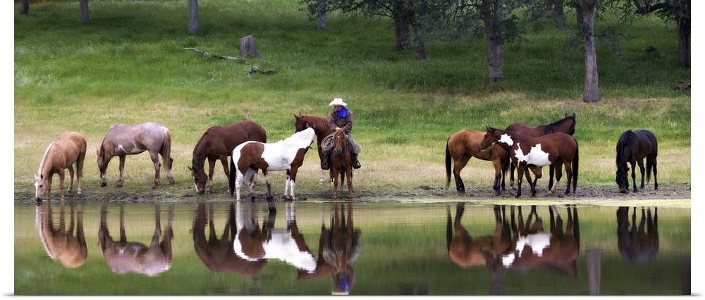Cowboy and horses by a lake near Yosemite, California