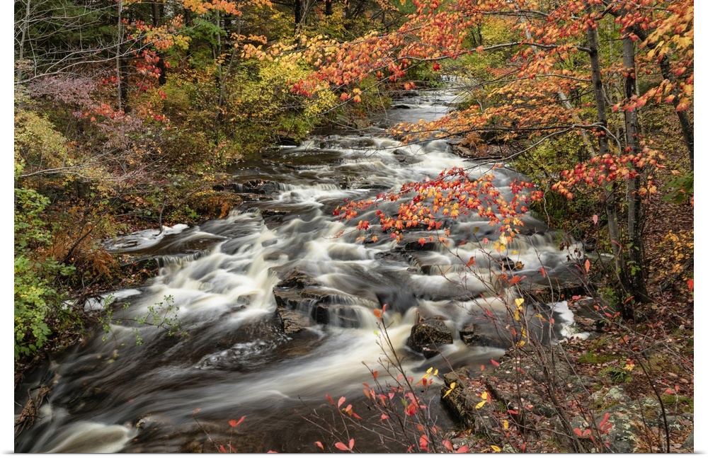 Flowing river and fall color in Acadia National Park.