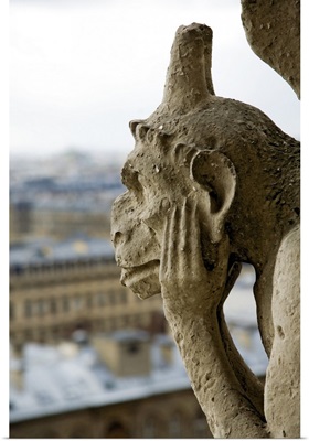 Gargoyle atop the Notre Dame Cathedral, Paris, France