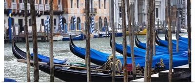 Gondolas on the Grand Canal in Venice, Italy