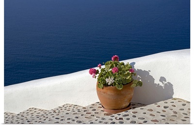 Greek Flowers over the sea