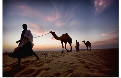 India Camels and their owners at sunset, Rajistan, India
