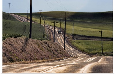Long country road in the Palouse region of Washington State