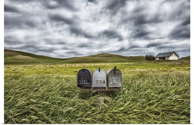 Mailboxes in rural area of the Palouse, Washington