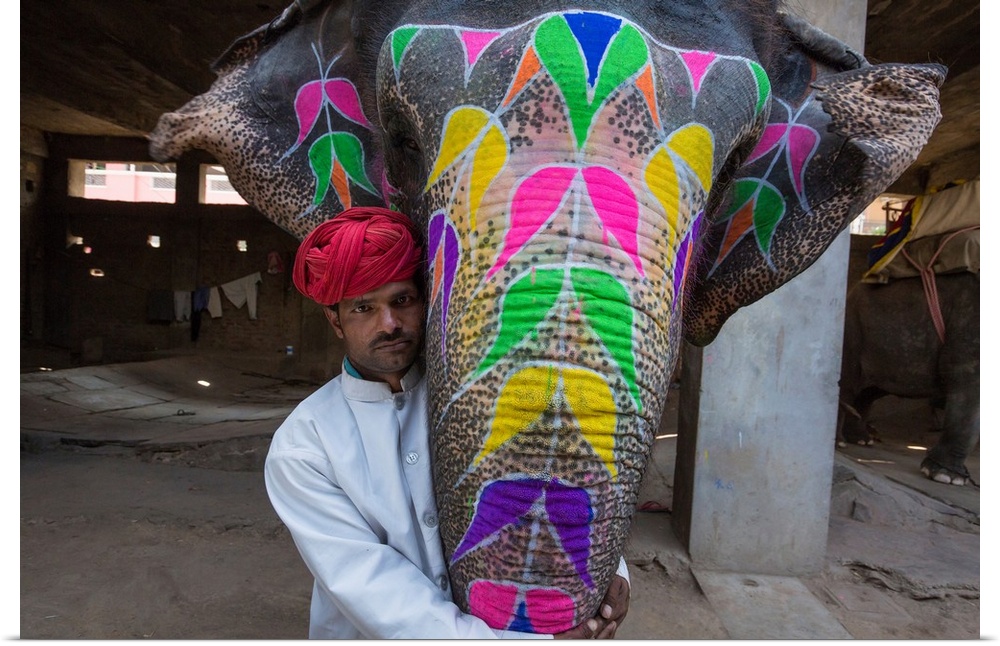 Painted elephant and its trainer in Jaipur, India.