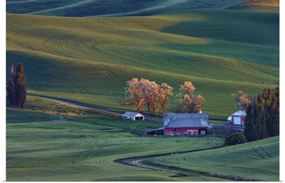 Rolling hills and barns in the Palouse region of Washington State