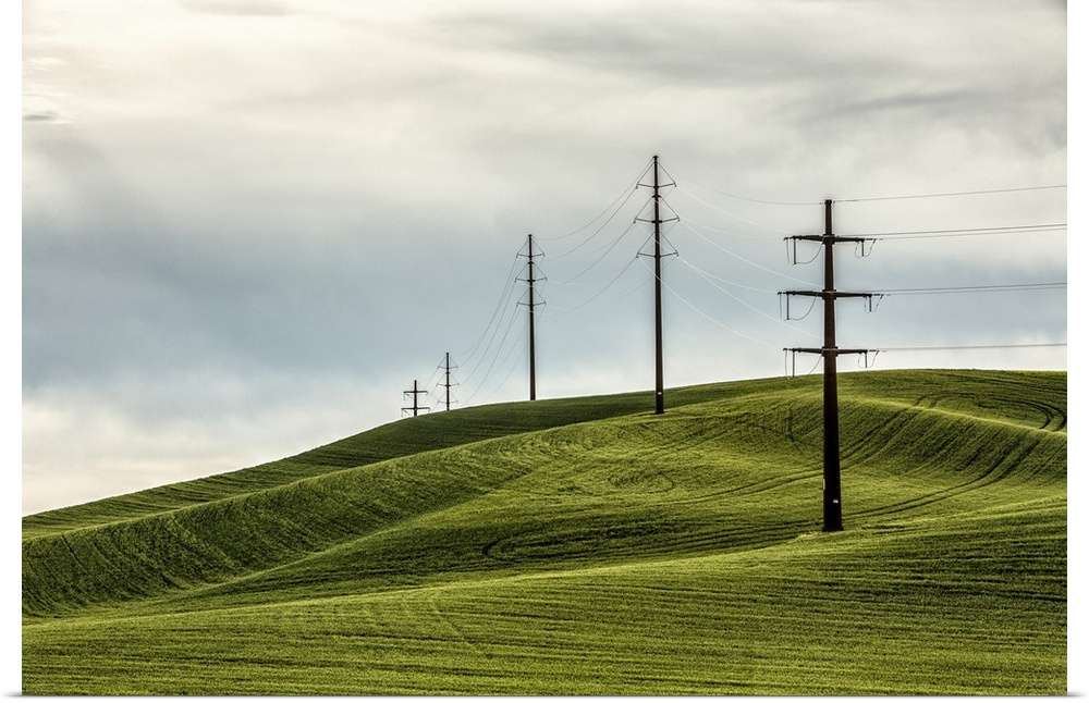 Rolling wheat fields and power lines in the Palouse, Washington