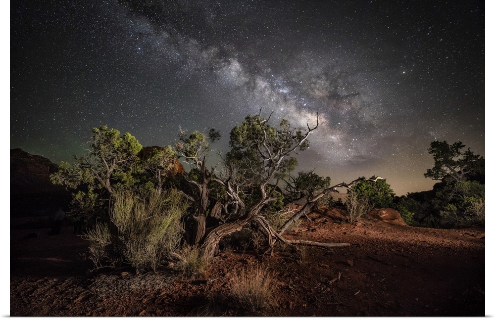 Milky Way in the red rocks of Sedona, Arizona.
