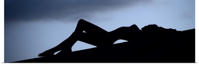 Silhouette of a nude woman outdoors at dusk
