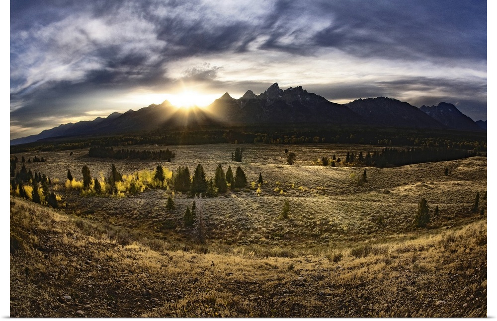 Giant, landscape photograph of a vast field in Jackson Hole, Wyoming, the sun rising just above the Gran Tetons in the bac...