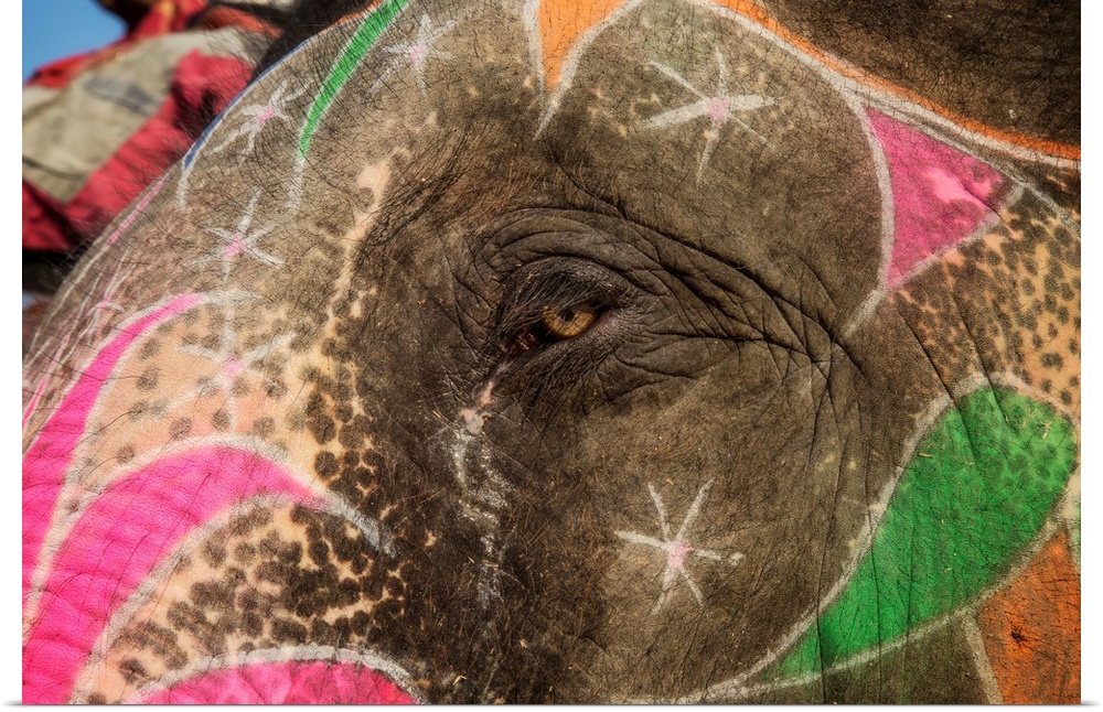 The eye of a painted elephant in Jaipur, India.