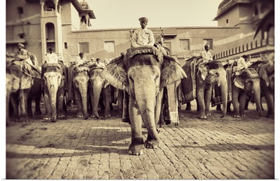 The painted elephants and their trainers in Jaipur, India