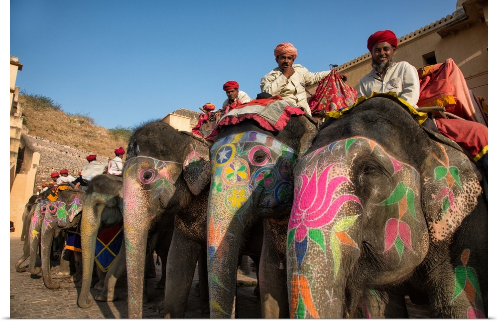 The painted elephants and their trainers in Jaipur, India.