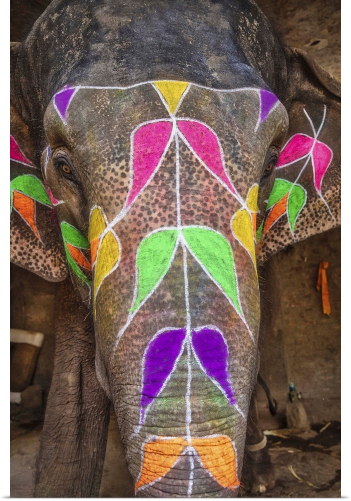 The painted elephants of Jaipur, India