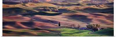 View from Steptoe Butte in the Palouse, Washington