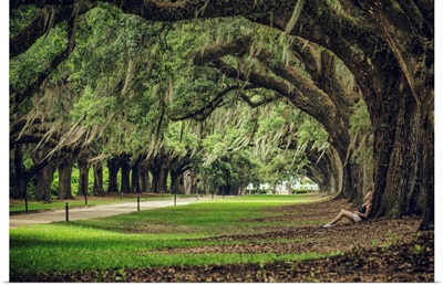 Woman leaning against a huge Oak tree at Boone Plantation