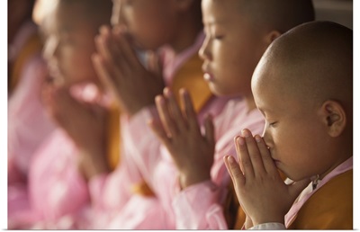 Young nuns praying together in their monastery in Burma