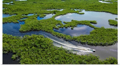 Motoring Through Mangrove Labrynth Of Everglades National Park