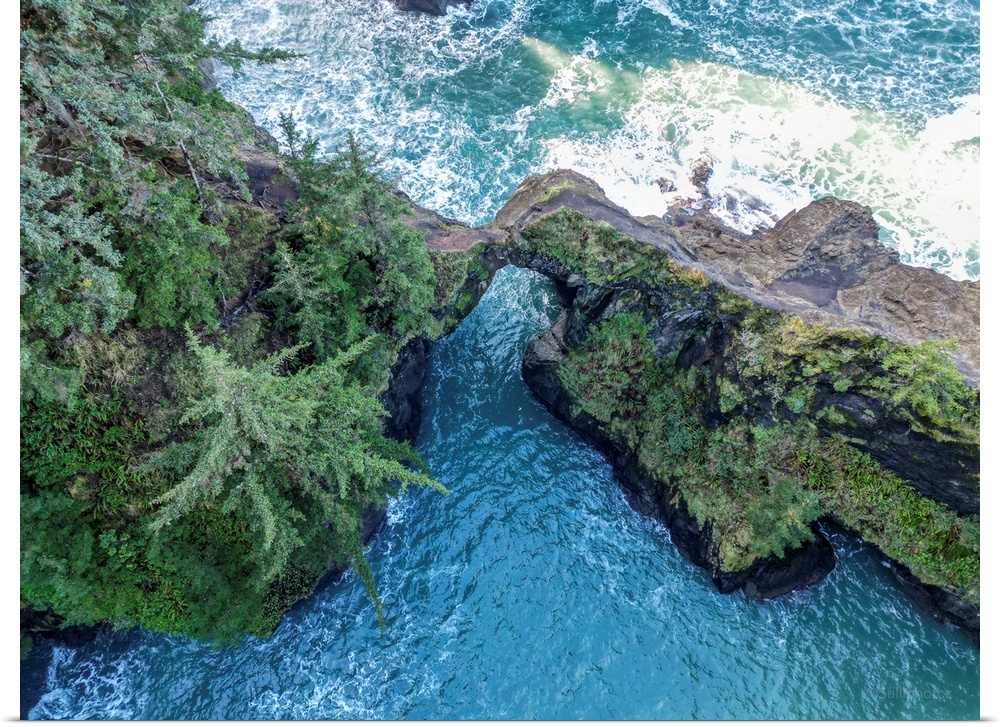 Oregon Coast 11