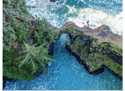 Oregon Coast 11