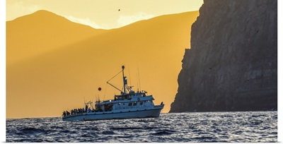 The Royal Polaris Fishes In Tight At Sunset Near Guadalupe Island, Mexico