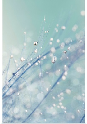 Dreamy Feather Drops