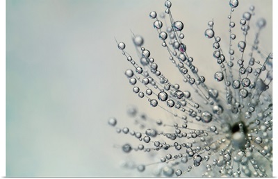 Fairy Dust Droplets