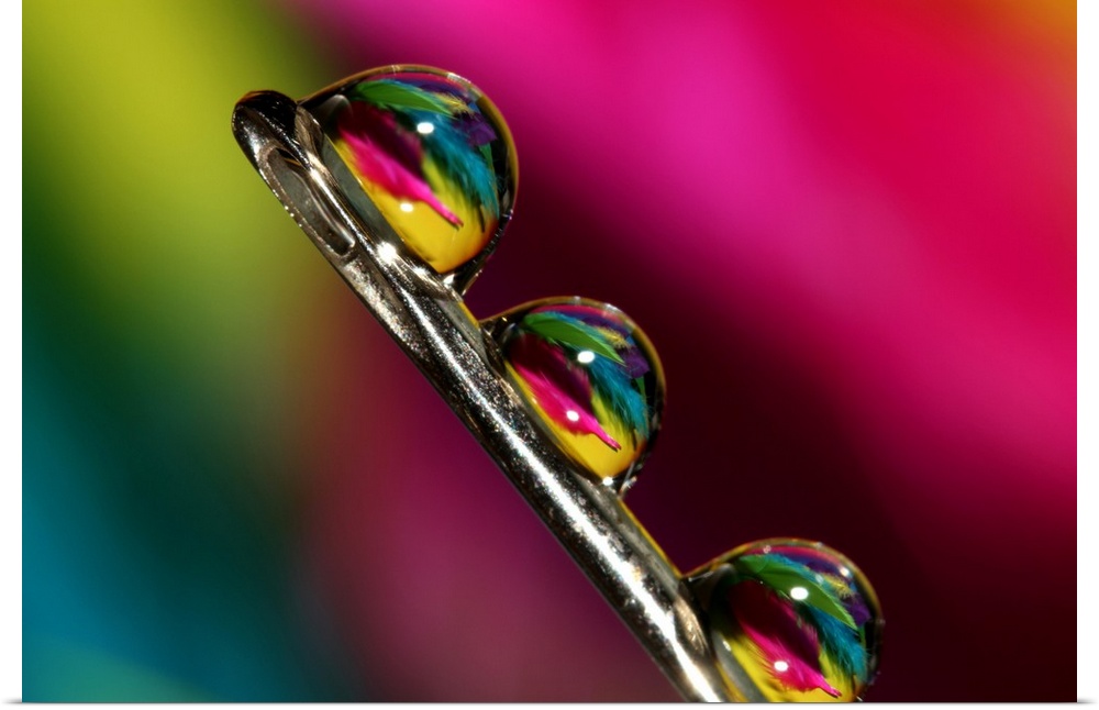Water droplets on dressmakers needle. Feathers reflected in the droplets.