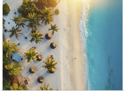 Aerial View Of Umbrellas And Palms On Indian Ocean Beach At Sunset, Zanzibar, Africa
