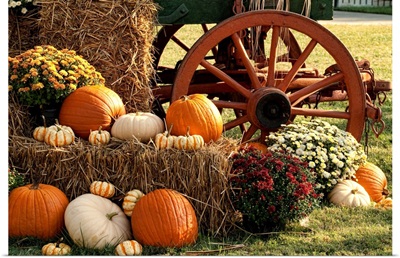 Autumn Pumpkins and Mum Display