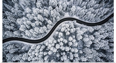 Curvy Windy Road In Snow Covered Forest