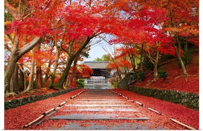 Entrance Of The Temple Bishamon-Do Covered With Red Autumn Leaves, Kyoto, Japan