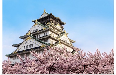 Osaka Castle With Cherry Blossoms, Japan