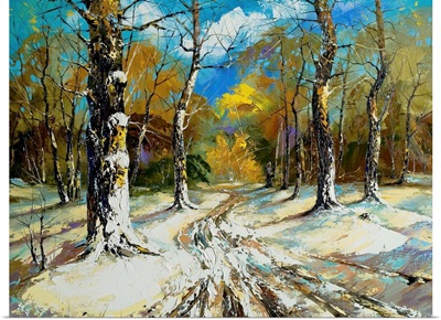 Road to a Winter Forest