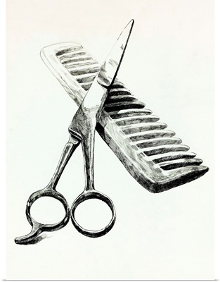 Scissors and Comb