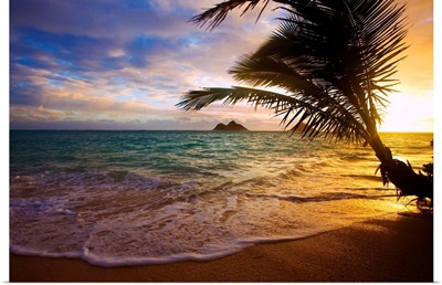 Sunrise At Lanikai Beach In Hawaii